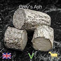 Grey's Ash